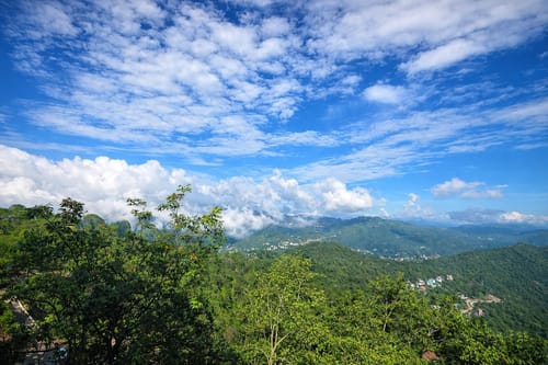 The Oak Villa – 5 bedroom villa in Kasauli, Himachal Pradesh
